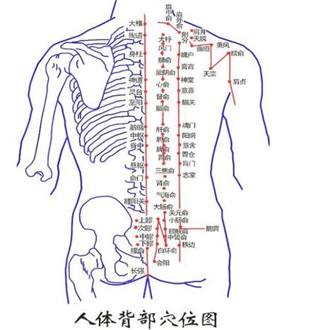 女人背部有痣